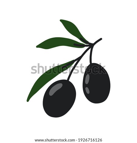 Olive branches. Vector illustration for deisgn, patterns, wreaths, web, olive oil logo. Green olives on an isolated white background. Hand drawn illustration