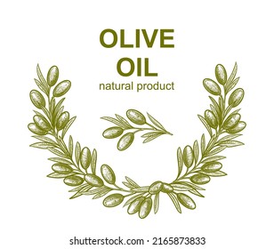 ramas de olivo. Ilustraciones vectoriales de ramas con frutas y hojas para crear logotipos, patrones, tarjetas de felicitación, invitaciones a bodas.