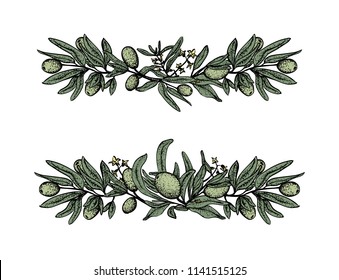 Olive branches vector set  with olive handrown elements. 