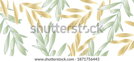 olives Olive Olive oil