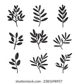 Olive brunch set. laurel branch hand dravn Vector illustration. Set of vector hand drawn black and white twigs.