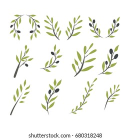 Olive brunch set. Vector illustration