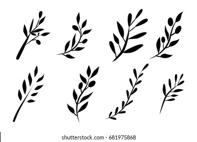 Olive brunch set. Vector illustration