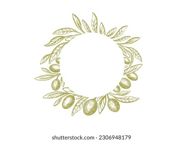 Olive circle pattern. Vector green branch, texture leaves and oil fruit. Mediterranean background. Extra virgin food