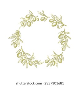 Olive circle pattern. Vector green branch, texture leaves and oil fruit. Mediterranean background. Extra virgin food