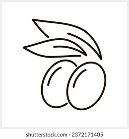 Olive clipart. Branch with leaf and fruit isolated. Sketch Vector stock illustration. EPS 10