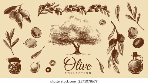 Colección de oliva: botella con aceite de oliva, botella con aceitunas en escabeche, rama con hojas y aceitunas, en rodajas, corona de oliva y árbol. Gráficos de Antiguas en marrón y beige, dibujados a mano, Vector. Diseño antiguo.