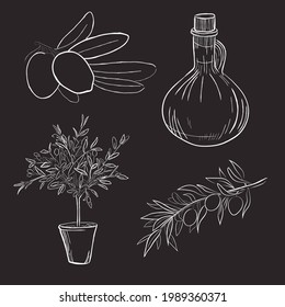 Olive Collection of Line art vintage drawing. Vector illustration.