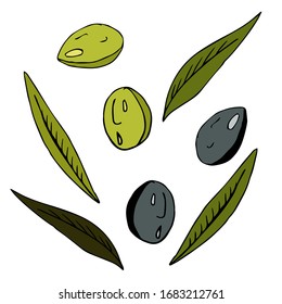 Olive collection on an isolated white background. The contour is drawn by hand. olives for greeting cards, invitations, cosmetics and much more.