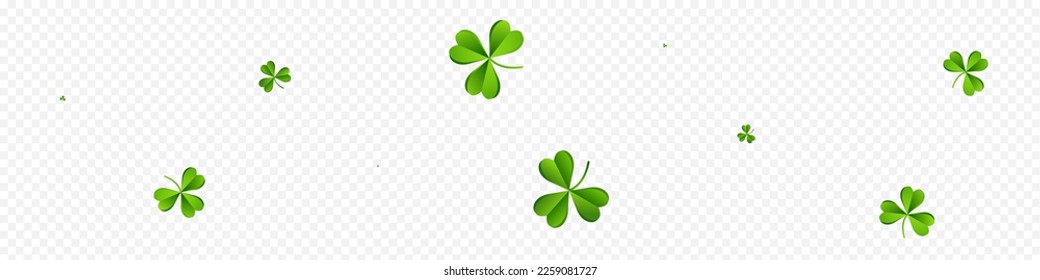 Olive color Clover Falling Vector Transparent Panoramic Background. Malachite Leaf Fly Backdrop. Holiday Shamrock Template. Green Leaves Saint Patrick Design.