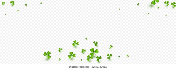 Olive color Clover Falling Vector Transparent Panoramic Background. Bright Leaf Stream Template. Botanical Foliage Backdrop. Green Leaves Minimal Wallpaper.