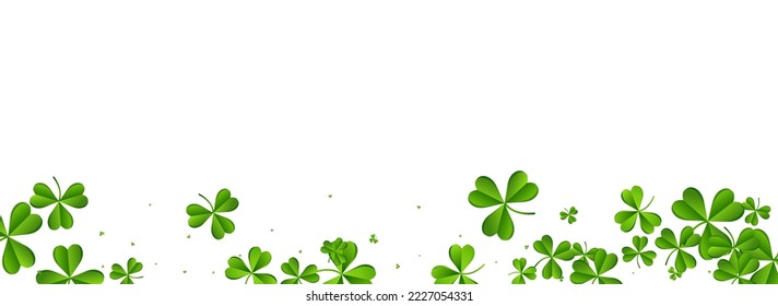 Olive color Clover Holiday Vector White Panoramic Background. Spring Leaf Isolated Design. Summer Foliage Wallpaper. Green Leaves Minimal Illustration.