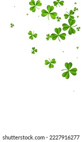 Olive color Clover Holiday Vector White Background. Spring Shamrock Air Backdrop. Isolated Leaves Template. Green Foliage Minimal Design.