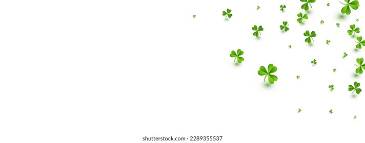 Olive color Clover Holiday Vector White Panoramic Background. Malachite Leaf Fly Template. Summer Leaves Pattern. Bright Shamrock Minimal Wallpaper.