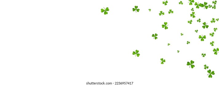 Olive color Clover Isolated Vector White Panoramic Background. Green Leaf Holiday Wallpaper. Minimal Foliage Template. Bright Leaves Saint Patrick Illustration.