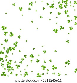 Olive color Clover Isolated Vector White Background. Malachite Foliage Summer Pattern. Holiday Leaf Template. Bright Shamrock Falling Illustration.