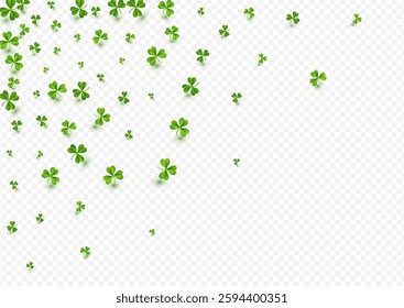 Olive color Clover Isolated Vector Transparent Background. Bright Foliage Holiday Pattern. Saint Patrick Leaves Wallpaper. Green Shamrock Air Illustration.