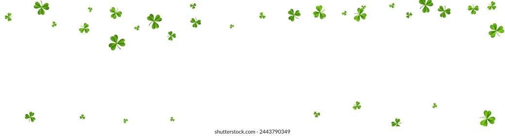 Olive color Clover Minimal Vector White Panoramic Background. Bright Foliage Saint Patrick Design. Summer Shamrock Template. Green Leaf Fly Backdrop.