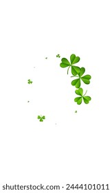 Olive color Clover Saint Patrick Vector White Background. Green Leaves Summer Pattern. Falling Leaf Backdrop. Bright Shamrock Air Template.