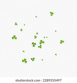 Olive-Farbe Clover Stream Vektortransparenter Hintergrund. Malachite Shamrock Air Template. Der Sommer hinterlässt Muster. Green Foliage Holiday Illustration.