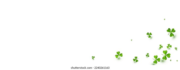 Olive color Clover Summer Vector White Panoramic Background. Malachite Leaves Botanical Wallpaper. Falling Shamrock Backdrop. Spring Foliage Saint Patrick Design.