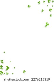 Olive color Clover Wind Vector White Background. Spring Leaves Holiday Backdrop. Stream Foliage Template. Green Leaf Botanical Illustration.
