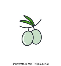 Olive color line icon vector illustration. Oil food product fruits olives on branch isolated object. Healthy organic food logo oilseed