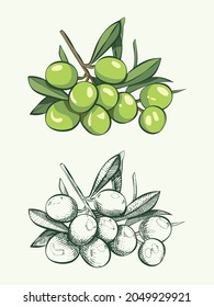 Olive Color and Monochrome Graphic Vector Illustration