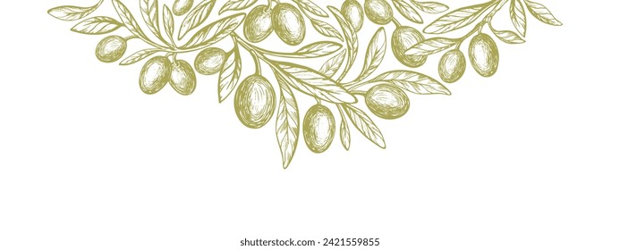 Olive design template. Vector hand drawn tree, oil fruit. Mediterranean food illustration. Vintage packaging design