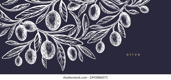 Olive design. Vector illustration of tree, texture fruit, engraving branch, foliage on dark background. Vintage texture monochrome border. Mediterranean food, aroma oil