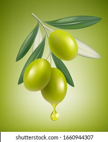 Olive drop. Natural branch with splashes of transparent oil vector closeup drop vector realistic greek olive food