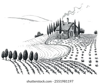 campo de oliveira e casa de campo, vetor, preto e branco, isolado
