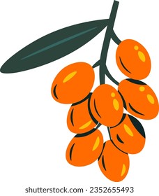 olive flat illustration, full color icon