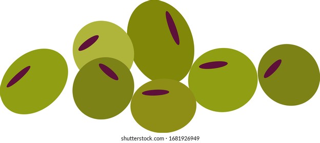 olive flat vector image isolated on white