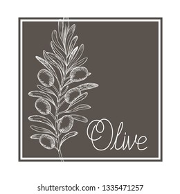 olive flower drawing isolated icon