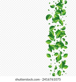 Olive Foliage Abstract Vector Transparent Background. Blur Greens Wallpaper. Lime Leaf Nature Plant. Leaves Realistic Banner.