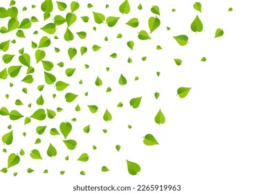 Olive Foliage Abstract Vector White Background Backdrop. Falling Leaf Poster. Forest Greens Swirl Illustration. Leaves Fly Pattern.