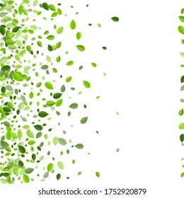 Olive Foliage Blur Vector Backdrop. Falling Leaves Template. Forest Leaf Transparent Wallpaper. Greens Organic Branch.
