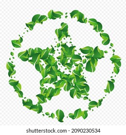 Fondo Transparente Del Vector De Desenfoque Del Foliaje De Oliva. El té deja la frontera. Diseño de caída de hojas de ciénaga. Plantilla de ecología verde.
