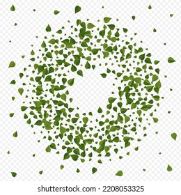 Olive Foliage Blur Vector Transparent Background Wallpaper. Fly Leaves Poster. Mint Leaf Falling Backdrop. Greens Forest Design.