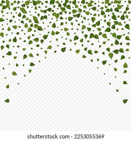 Olive Foliage Falling Vector Transparent Background Concept. Swirl Leaves Poster. Swamp Greens Fly Wallpaper. Leaf Ecology Template.