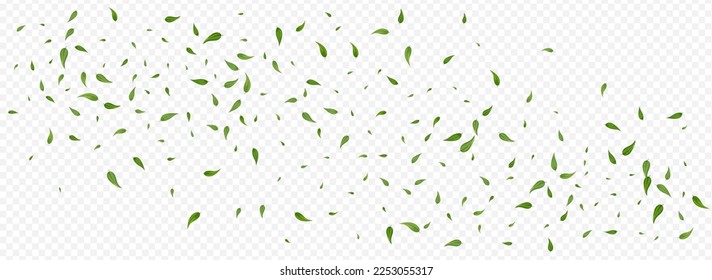 Olive Foliage Fly Vector Panoramic Transparent Background Concept. Flying Leaf Design. Lime Leaves Forest Backdrop. Greens Blur Branch.