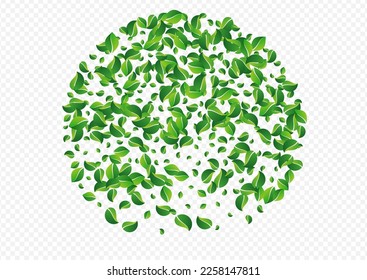 Olive Foliage Forest Vector Transparent Background. Falling Leaf Backdrop. Swamp Leaves Swirl Concept. Greens Realistic Poster.