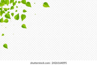 Olive Foliage Forest Vector Transparent Background Wallpaper. Tea Leaves Poster. Swamp Leaf Nature Border. Greens Spring Brochure.