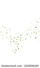 Olive Foliage Forest Vector White Background Wallpaper. Organic Greens Design. Grassy Leaf Nature Plant. Leaves Falling Branch.