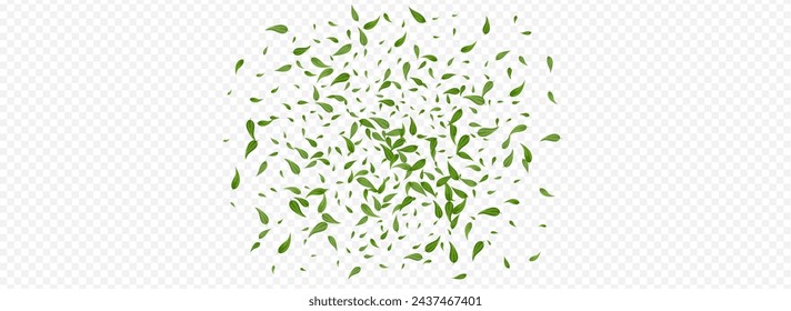 Olive Foliage Fresh Vector Panoramic Transparent Background Pattern. Spring Leaf Branch. Green Greens Swirl Wallpaper. Leaves Flying Poster.