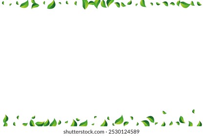 Olive Foliage Fresh Vector White Background. Spring Greens Concept. Lime Leaves Organic Design. Leaf Realistic Backdrop.