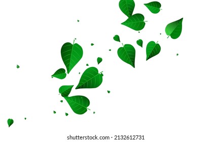 Olive Foliage Motion Vector White Background Border. Abstract Leaves Illustration. Green Greens Falling Branch. Leaf Fresh Concept.