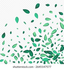 Olive Foliage Nature Vector Transparent Background Template. Tea Leaves Background. Green Greens Blur Pattern. Leaf Falling Wallpaper.