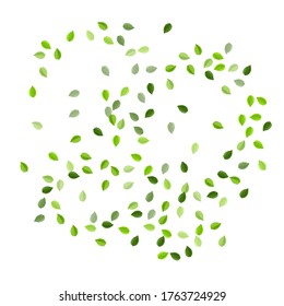 Ilustración de vectores orgánicos de oliva. Diseño de hojas de movimiento. El pantano deja afiche del bosque. Cartel realista de los Verdes.